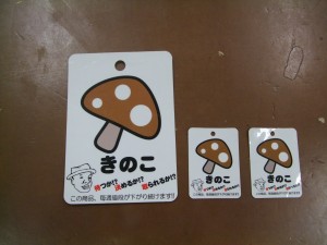 DSCF8914