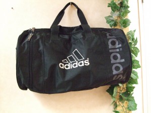 DSCF9527