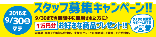 スタッフ募集キャンペーンバーナー用