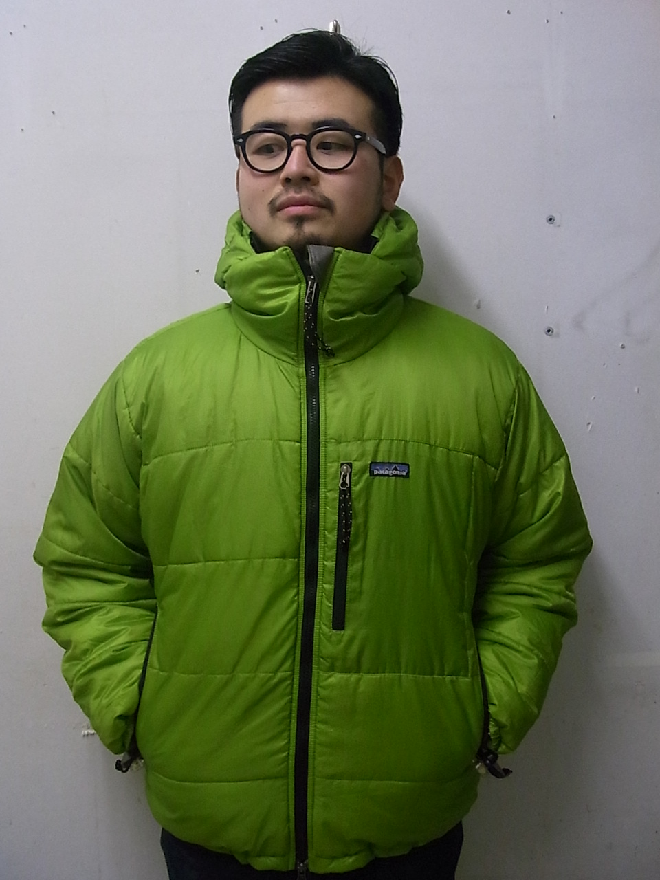 Patagonia パタゴニア ダスパーカー ゲッコーグリーン