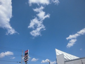 sora