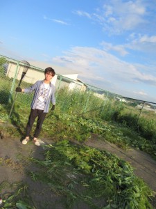 ryusei