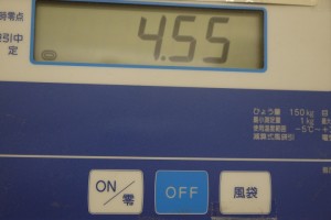 P1130165