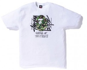 ape STUSSY