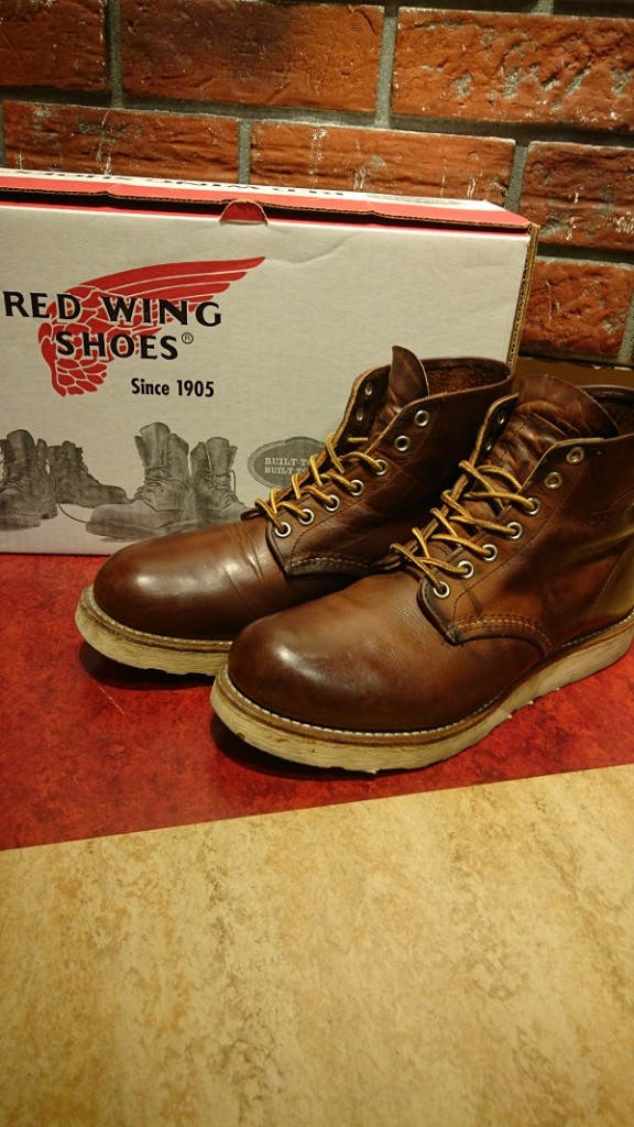 red wing setter (1)