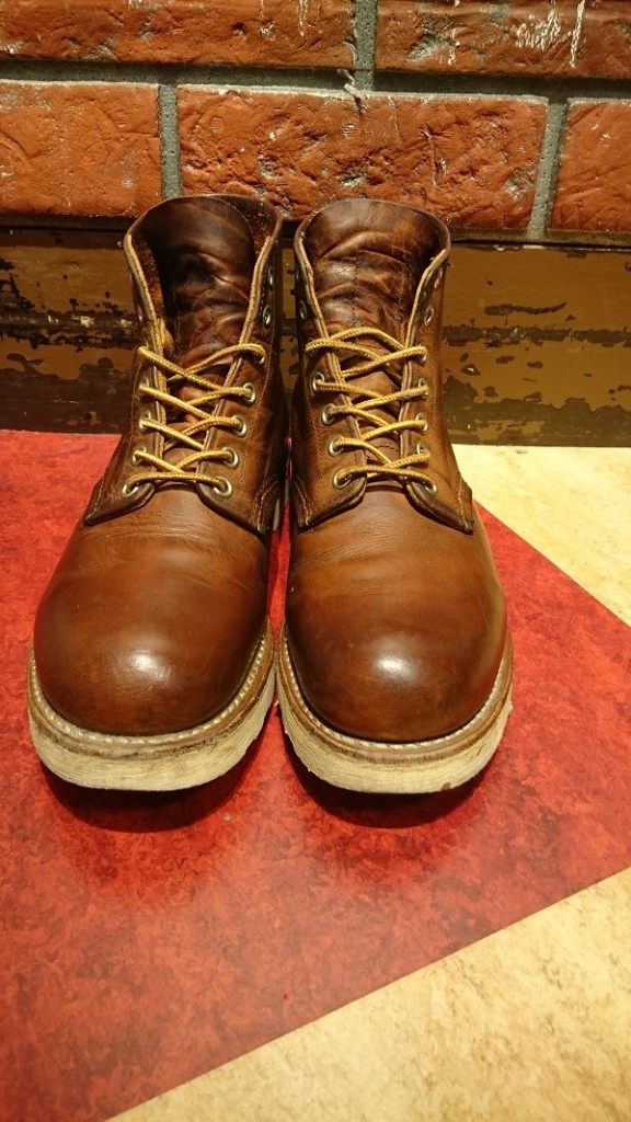 red wing setter (2)