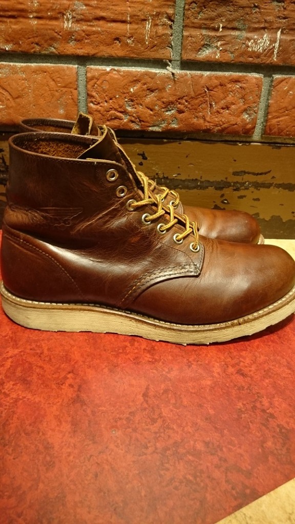 red wing setter (3)