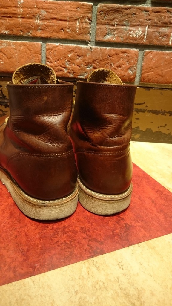 red wing setter (4)