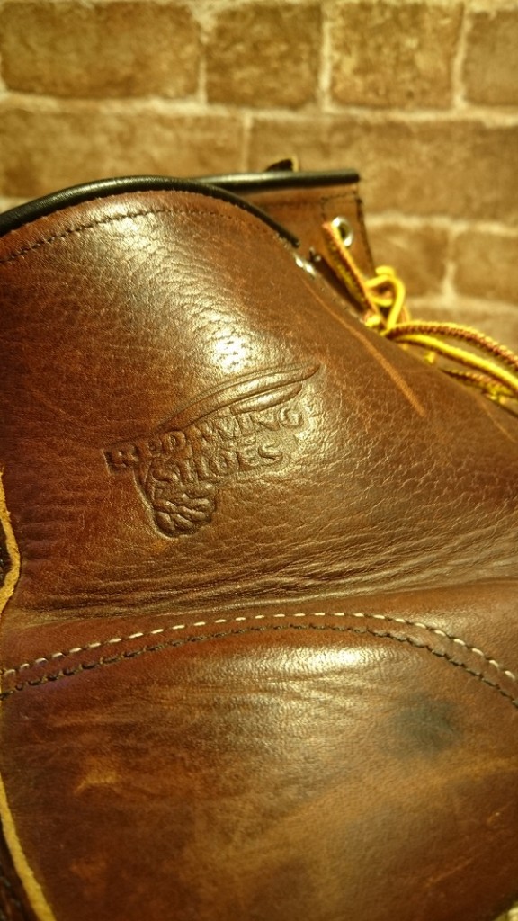 redwing irish setter (4)