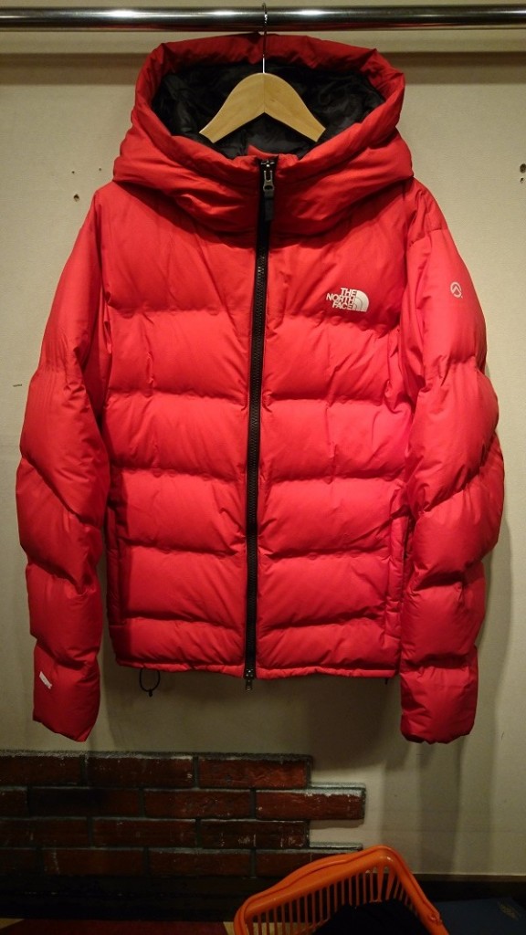 the north face (1)