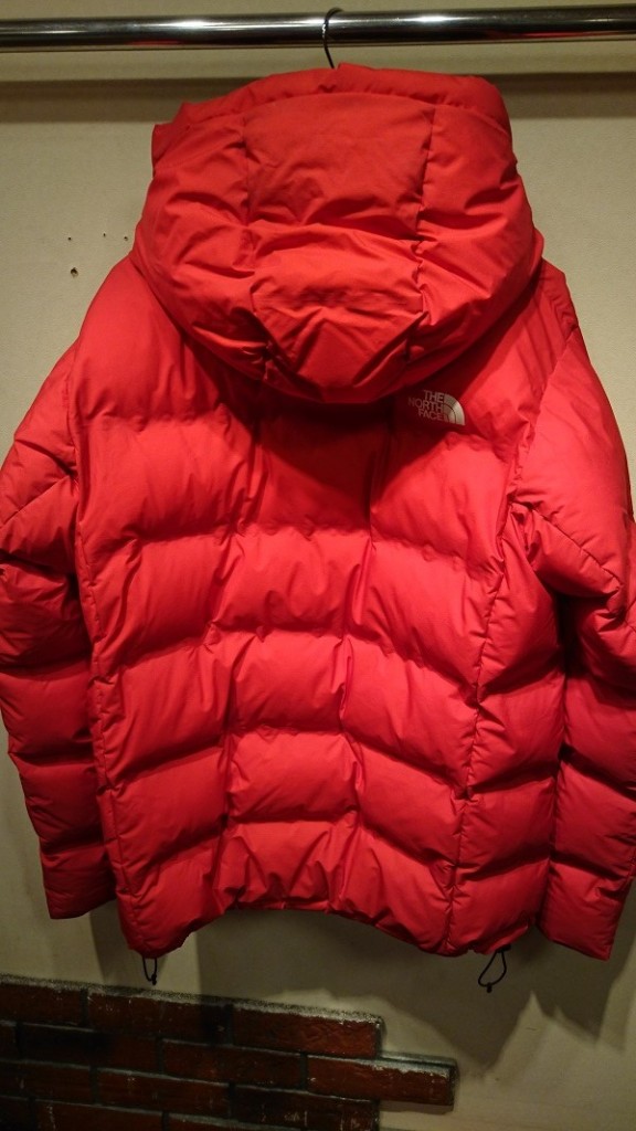 the north face (2)