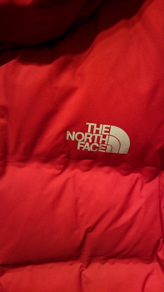 the north face (8)