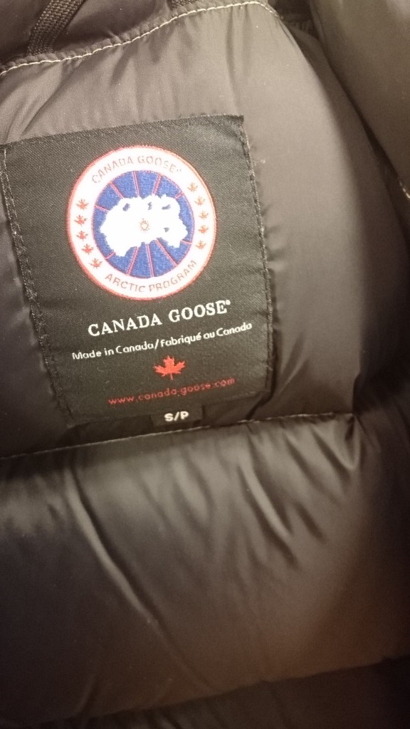 canada goose  (4)