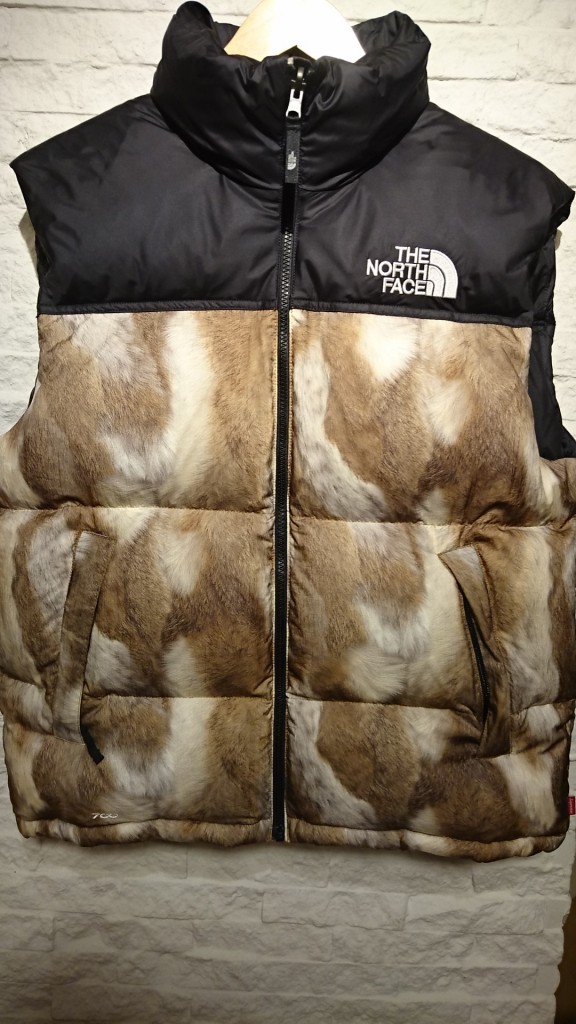 supreme the north face  (1)