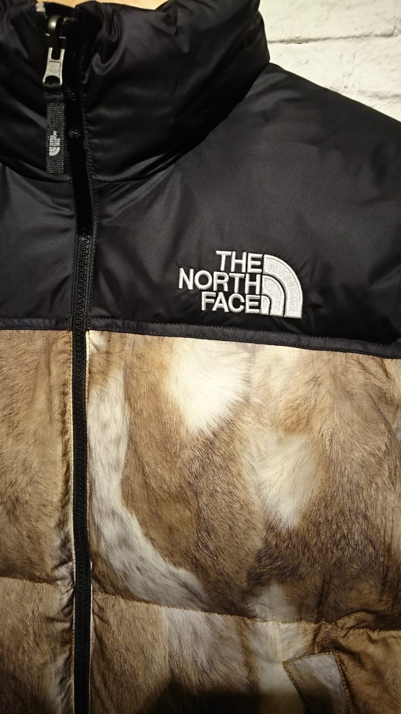 supreme the north face  (2)