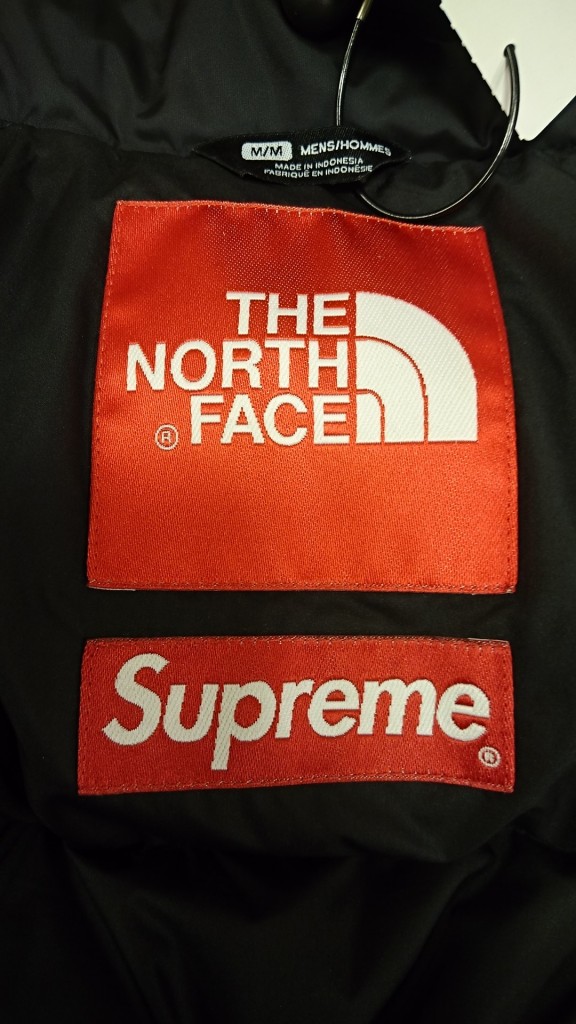 supreme the north face  (5)